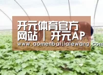 种植基地三
