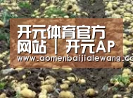 种植基地七