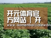 种植基地五