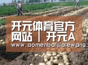 种植基地八