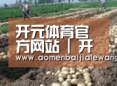 种植基地七(图1)