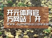 种植基地八(图1)
