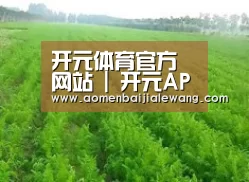 种植基地四