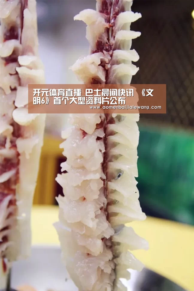 开元体育直播_巴士晨间快讯 《文明6》首个大型资料片公布(图4) 开元体育app