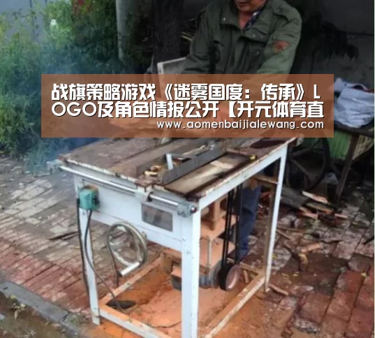 战旗策略游戏《迷雾国度:传承》LOGO及角色情报公开【开元体育直播】(图4) 开元体育官网