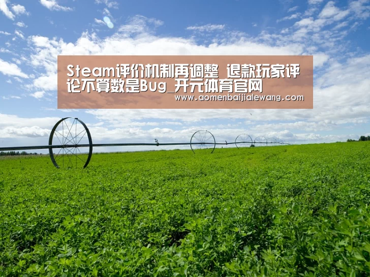 Steam评价机制再调整 退款玩家评论不算数是Bug_开元体育官网(图3) 开元体育