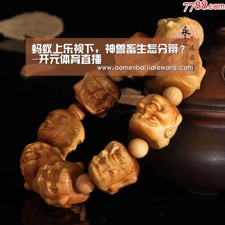 蚂蚁上乐视下,神兽畜生怎分辨?-开元体育直播(图2) 开元体育app