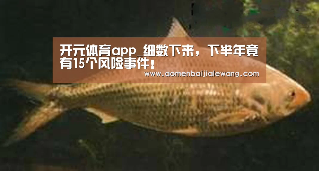 开元体育app_细数下来,下半年竟有15个风险事件!(图1) 开元体育官网