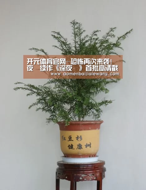 开元体育直播