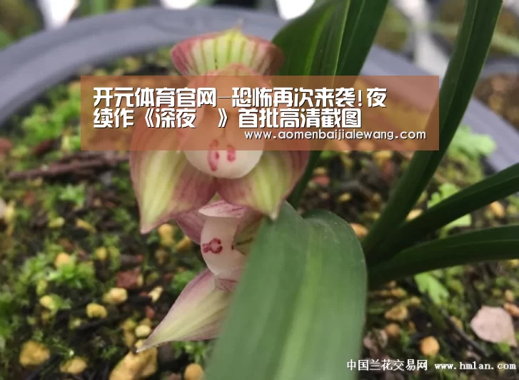 开元体育